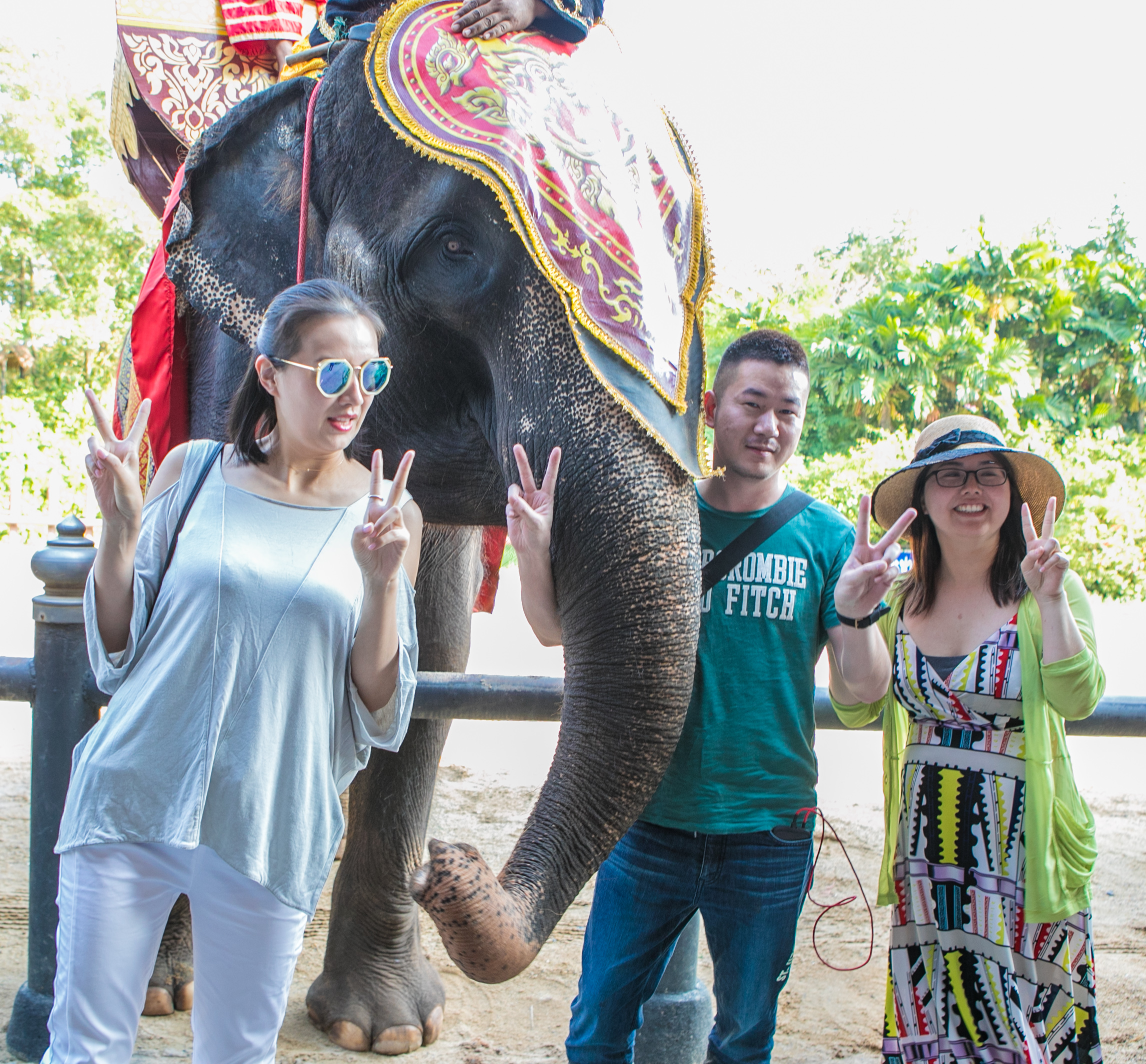 大象在泰国和印度象征着什么,大象是泰国的象征英语