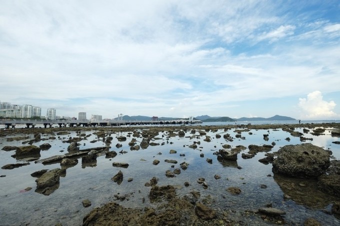 带孩子去三亚泡酒店首选之地,三亚阿罗哈酒店附近美食