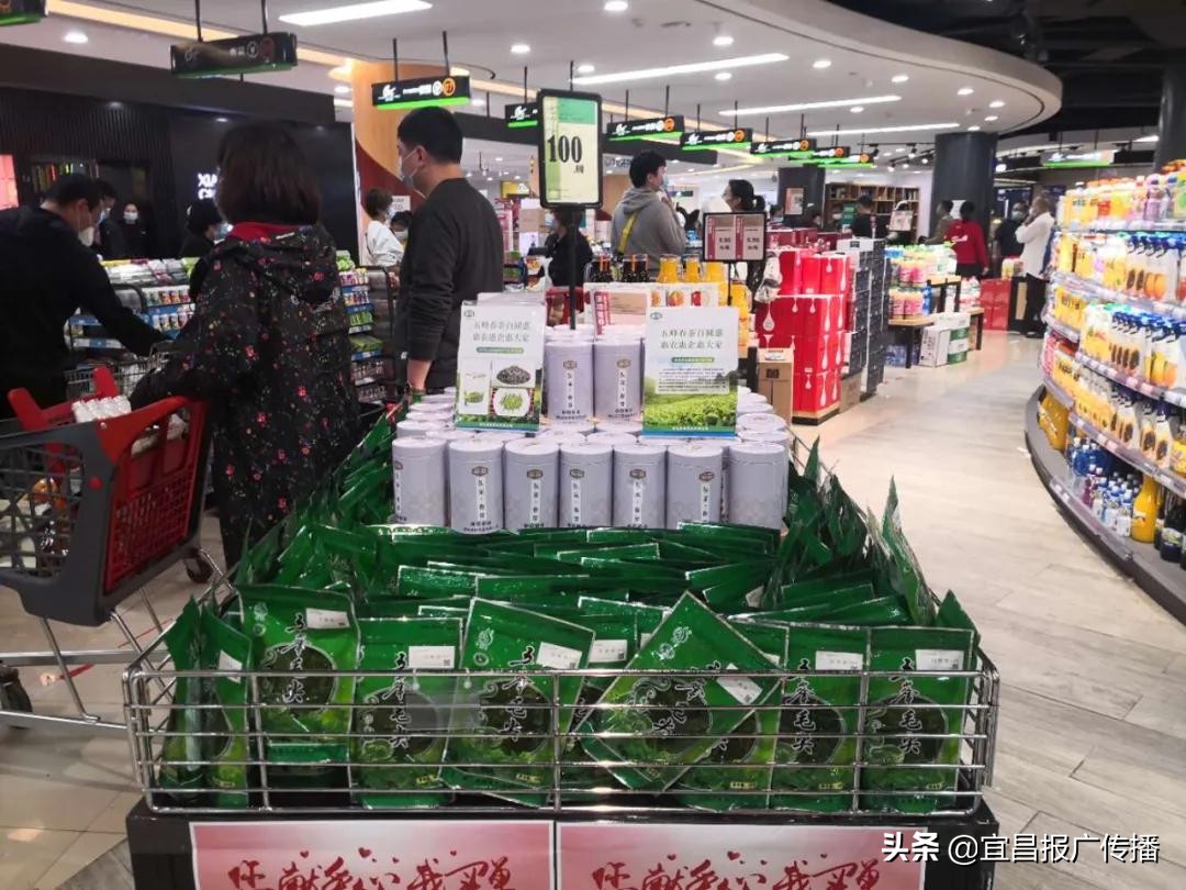 助茶农渡难关,宜昌春茶“百圆惠”上市