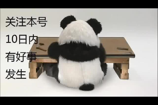 广州恒大费尔南多去哪里了,费尔南多2021中超