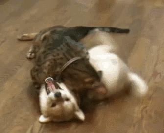 注销微信账号有哪些注意事项,注销微信账号是什么样的