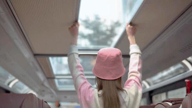 深圳观光巴士生态蓝线,深圳观光线巴士