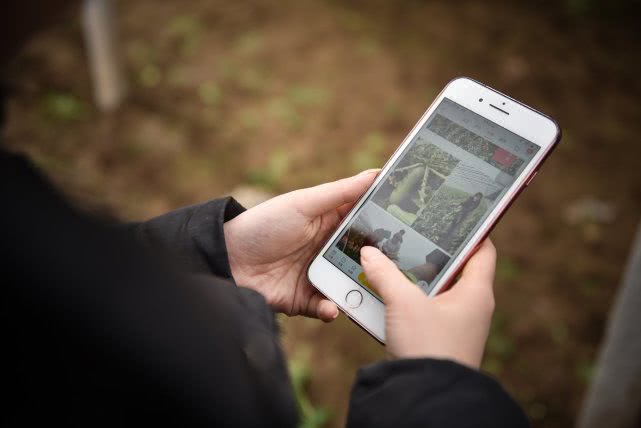 天津美女卖萝卜月入15万,90后豆腐西施月入过万