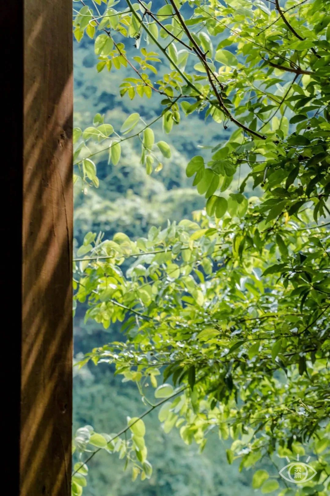 深圳各区最美的地方,深圳6个绝美地方