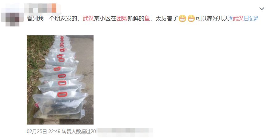 武汉新措施,武汉民生新政策