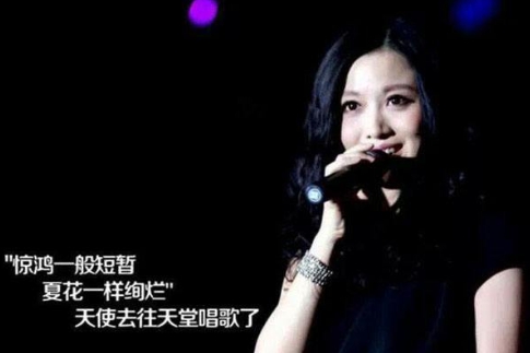 姚贝娜乳腺癌肿块,姚贝娜乳房重建