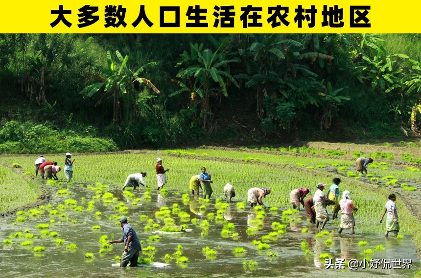 斯里兰卡的日常生活,斯里兰卡普通人的真实生活