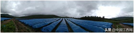 汇仁工厂供应链,汇仁药业极致品质从源头开始