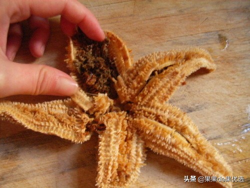 吃派大星的方法,派大星都吃过哪些奇怪的东西