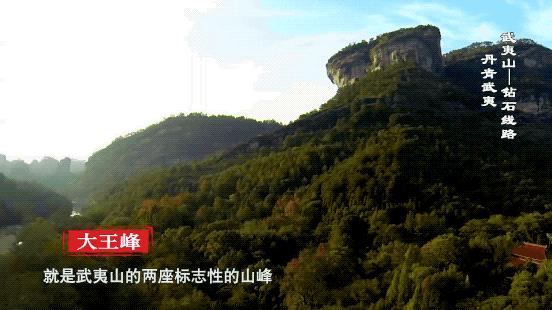 魅力中国城武夷山制茶师,魅力中国城武夷山