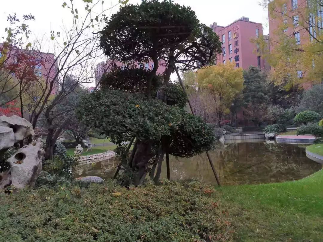 成都万家湾最好房评,成都万家湾哪个楼盘好