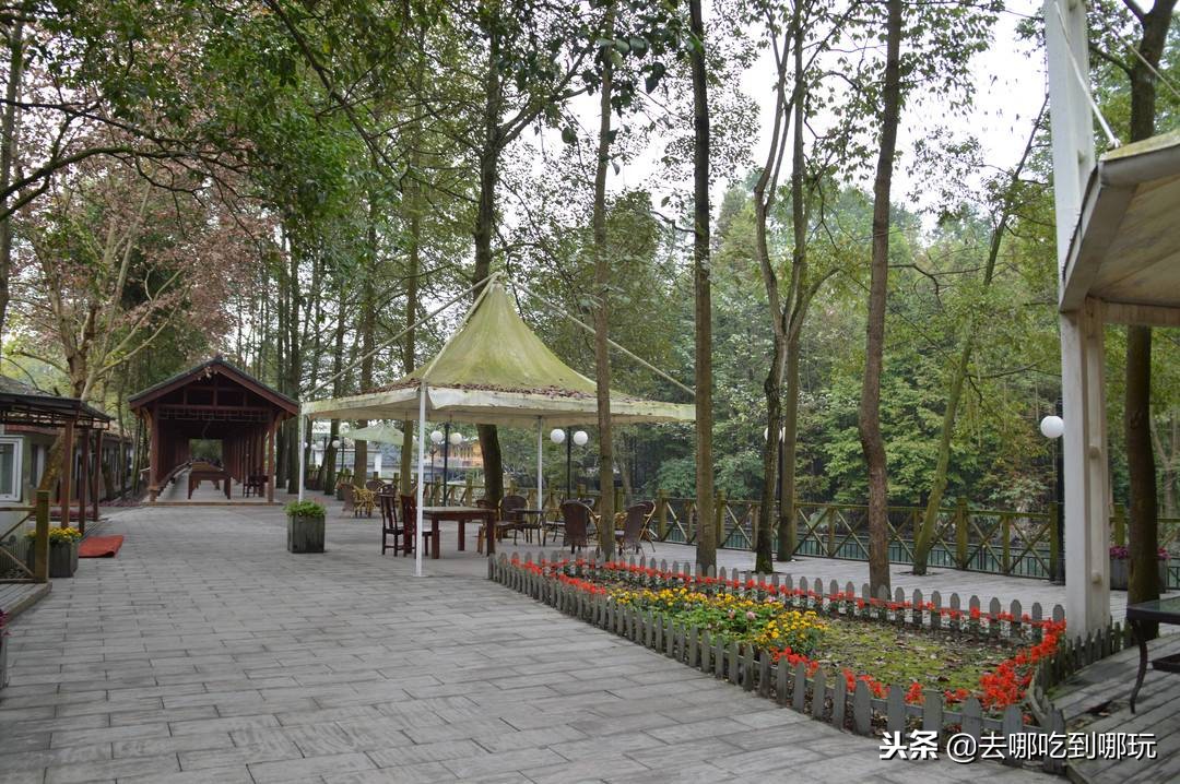 58元温泉抢票西安,都江堰柳凤镇凤山温泉