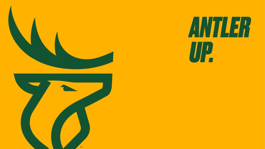 加拿大军队logo,加拿大足球队队旗