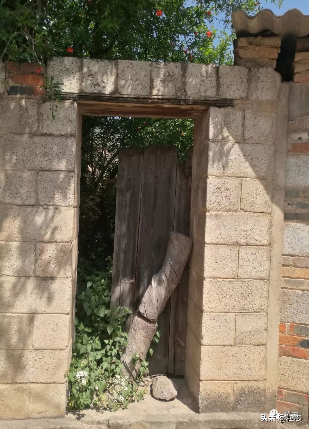 当设计师遇到野蛮的工人,当国外设计师玩转中国