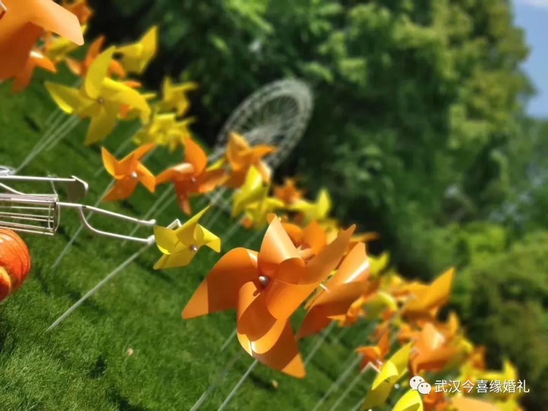 武汉会议中心的婚礼,武汉会议中心主办婚礼