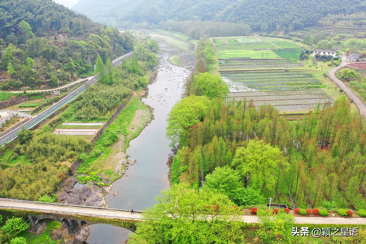宁波牡丹花园有哪些,宁波古今牡丹园