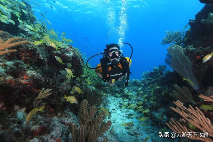 坎昆游记加勒比海,加勒比海坎昆旅游攻略