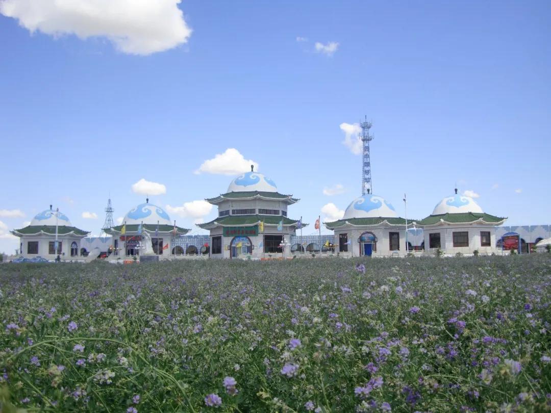 苏炳添,通辽欢迎你!吴智强,快带苏炳添回家