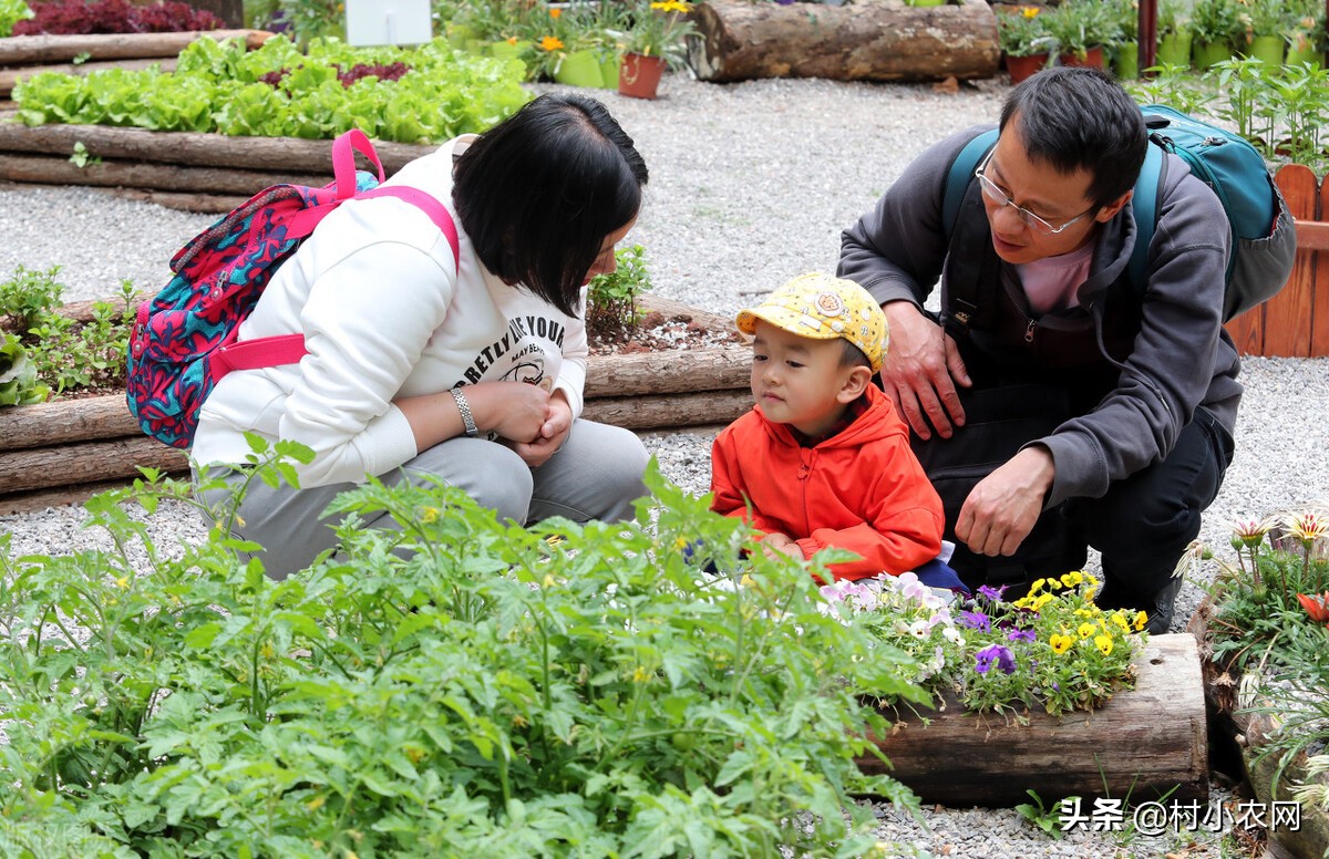 适合农村创业的29个项目,2022乡镇致富新项目