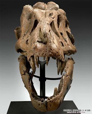 八大奇石造假手段,到底什么样的石头才算真正的奇石