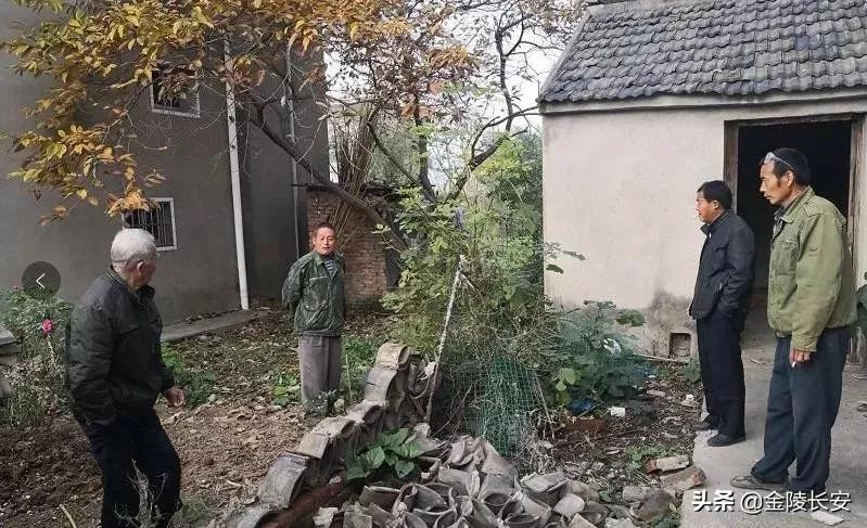 6合道哪套最强,合六一体化路线