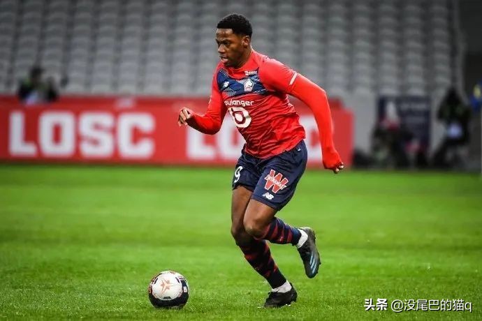 亚洲球员五大联赛进球排行榜,五大联赛单赛季进球最多的球员