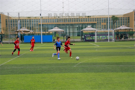 鸵鸟足球俱乐部报名,灵溪鸵鸟足球俱乐部怎么样