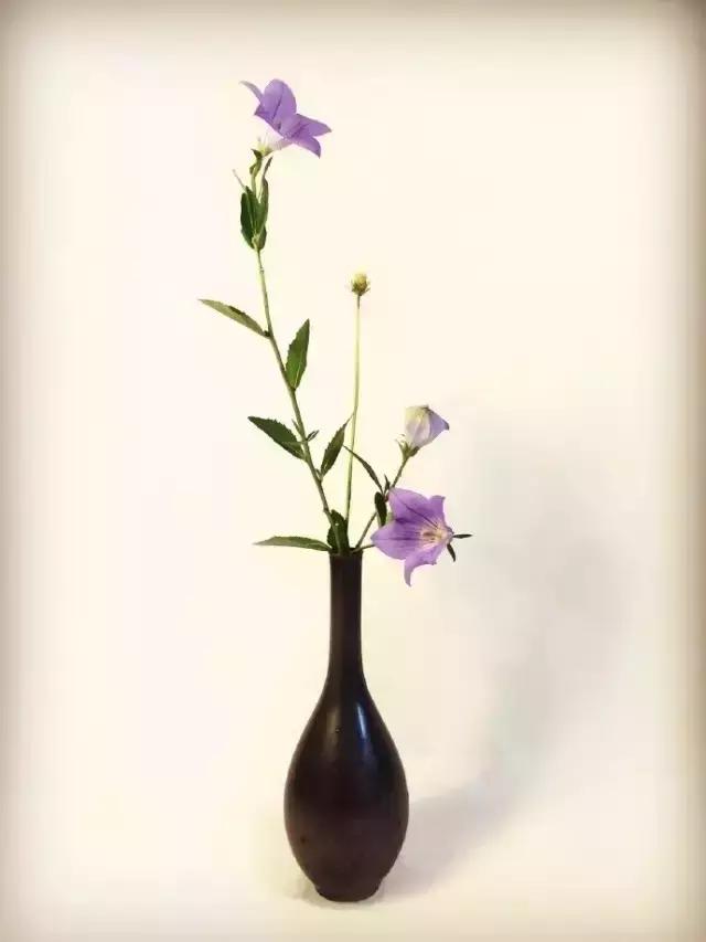 诗词纳兰容若,十首纳兰容若的经典诗词令人陶醉