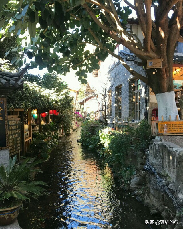 美景治愈云南丽江,云南丽江是一个治愈的地方