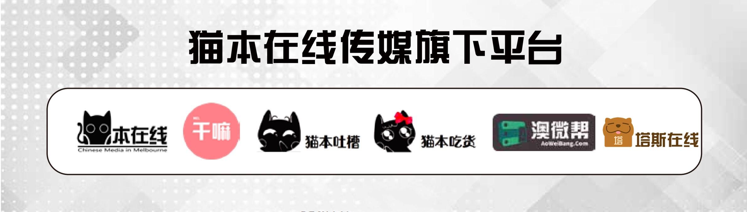 任天堂switch动森限定是什么版本,任天堂switch动森发布