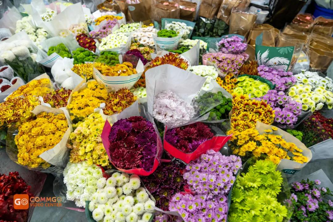 重庆花市排名前十名,重庆花市哪里最便宜