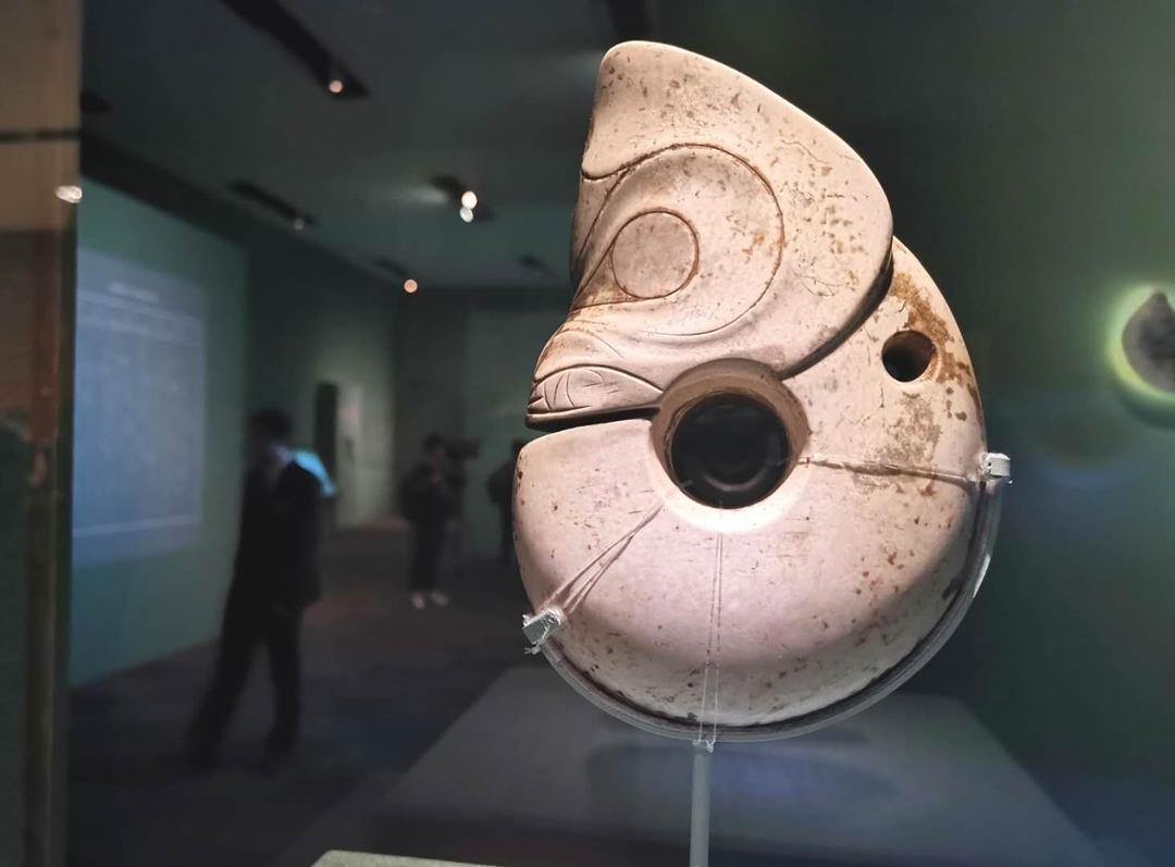 沈阳日报12月13日,沈阳新闻9月16日