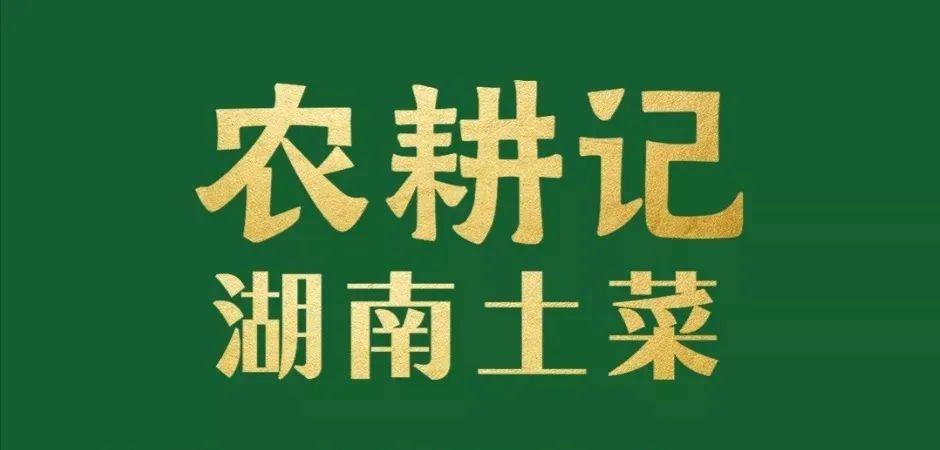 王者荣耀一折到四折活动,王者荣耀最近活动5折