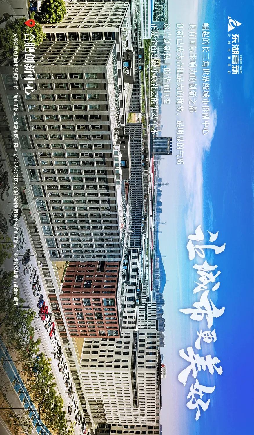 东湖高新集团的发展历程,图鉴图鉴