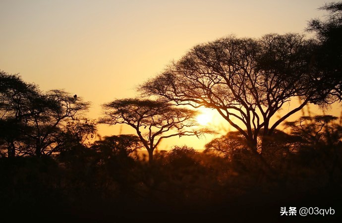 鏈涙棤杈归檯鐨勬捣,鏈涙棤杈归檯
