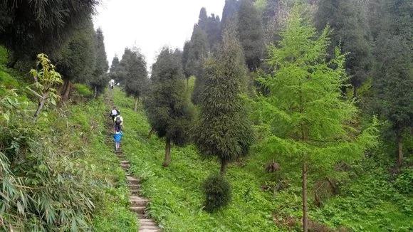 成都五一旅游人少亲子游景点推荐,五一成都旅游去哪儿玩