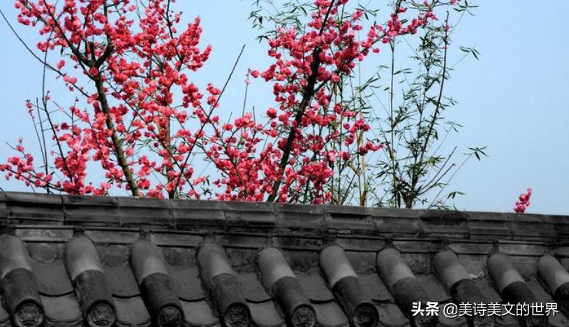 爸爸给儿解释诗“一枝红杏出墙来”，孩子似懂非懂，老师听完怒了