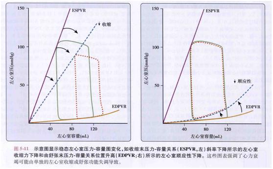 卡普兰教授的五本书,卡普兰治心衰新药