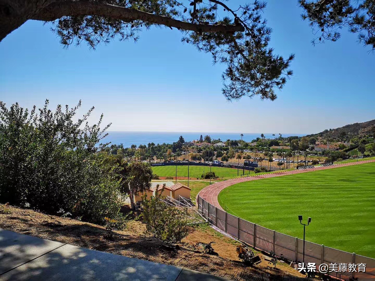 埃默里大学商学院博士申请,美国留学埃默里大学商学院