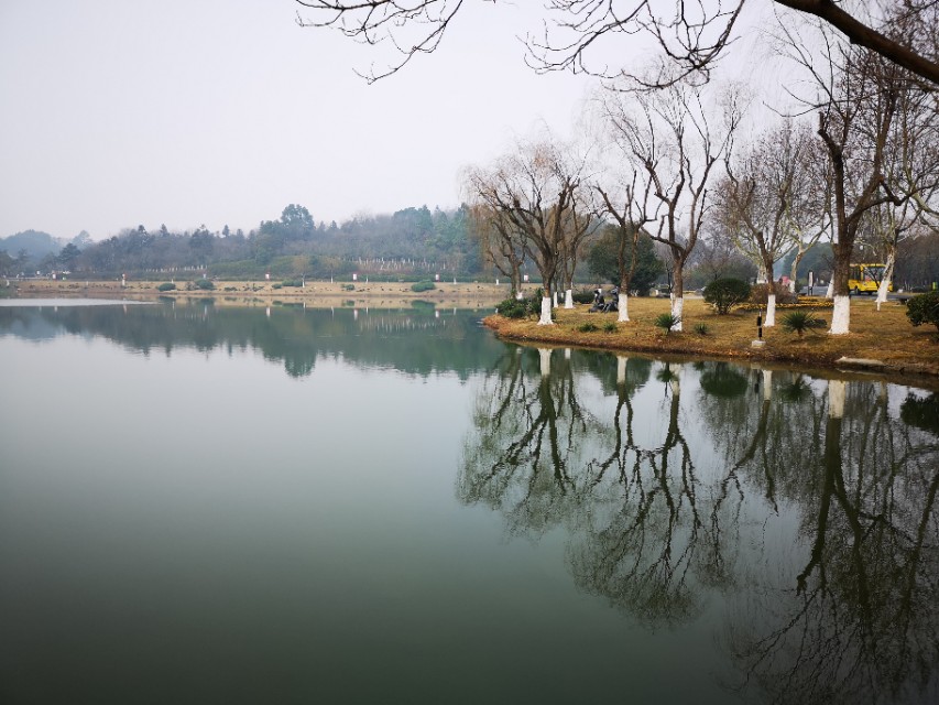 宜兴竹海游和龙背山森林公园游记