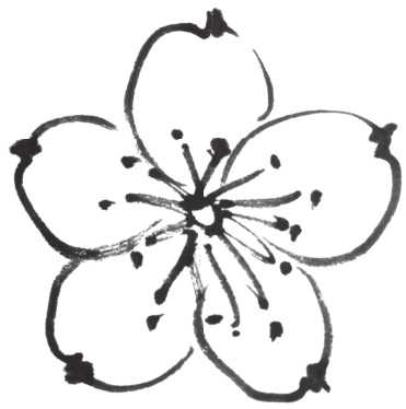 怎么画梅花和梅花树,写意画梅花的画法视频