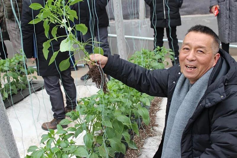 抢名额，19期中国无土栽培和土壤种植技术升级集成培训会