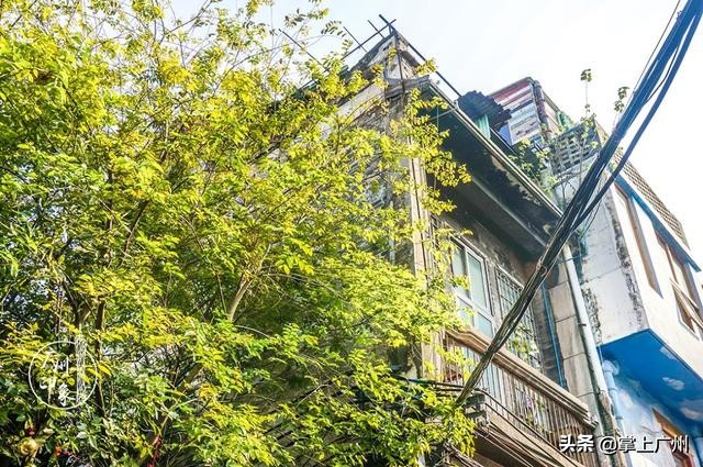 广州网红老街永庆坊,广州永庆坊网红打卡地都有什么