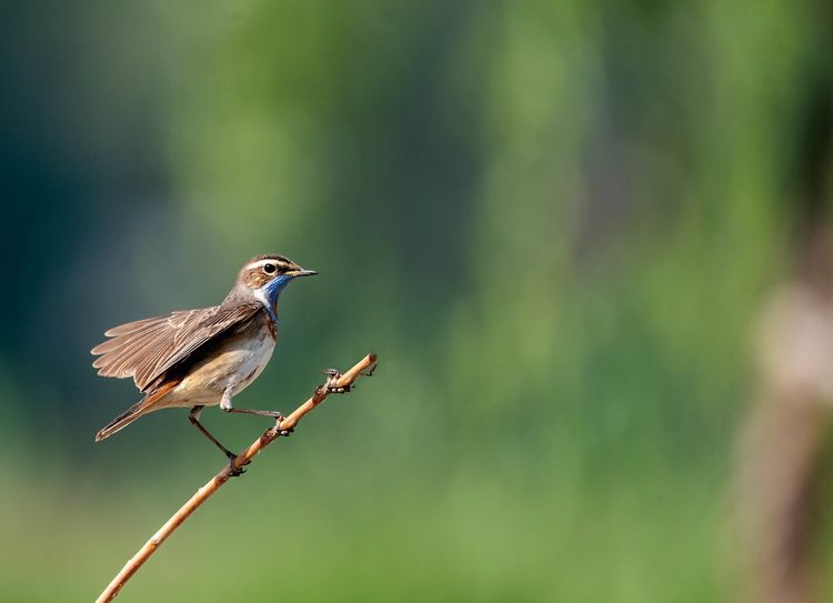 情人岛拍摄地点,情人岛航拍视频