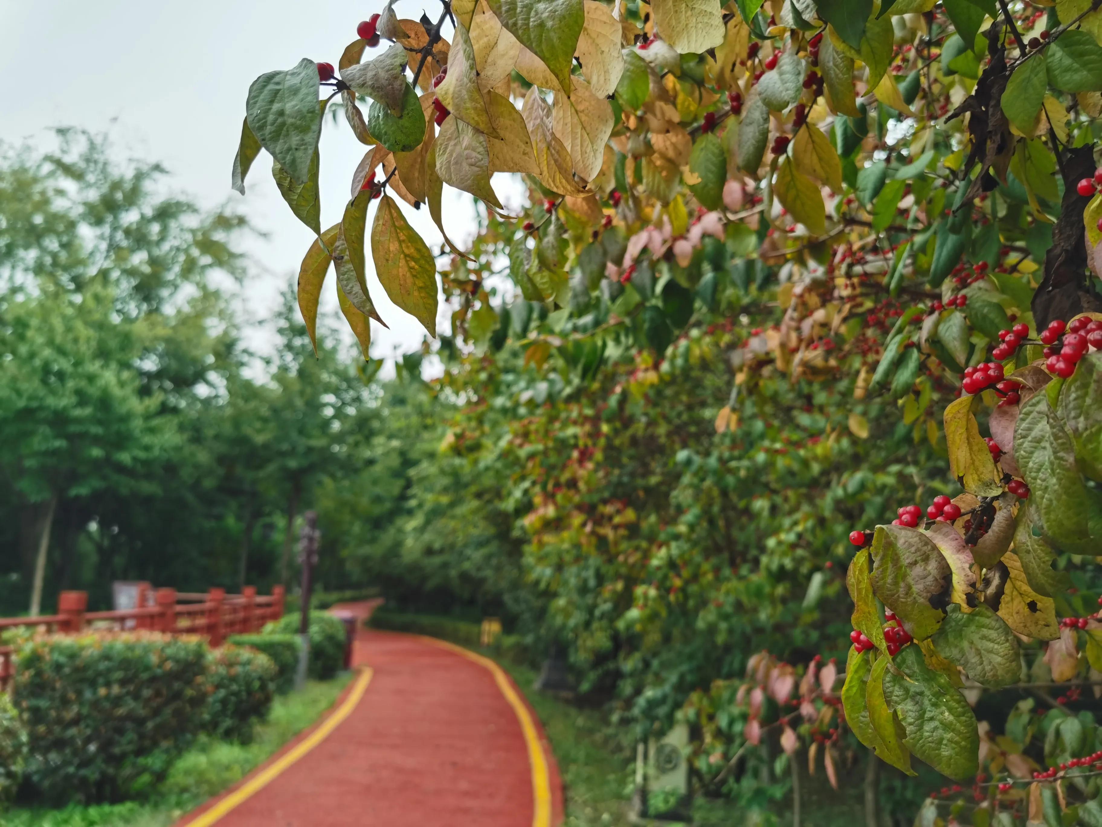西安汉城湖风景区线路图,西安汉城湖风景区