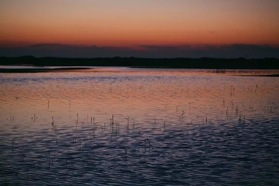 亲爱的客栈3沙漠取景,亲爱的客栈3拍摄地方