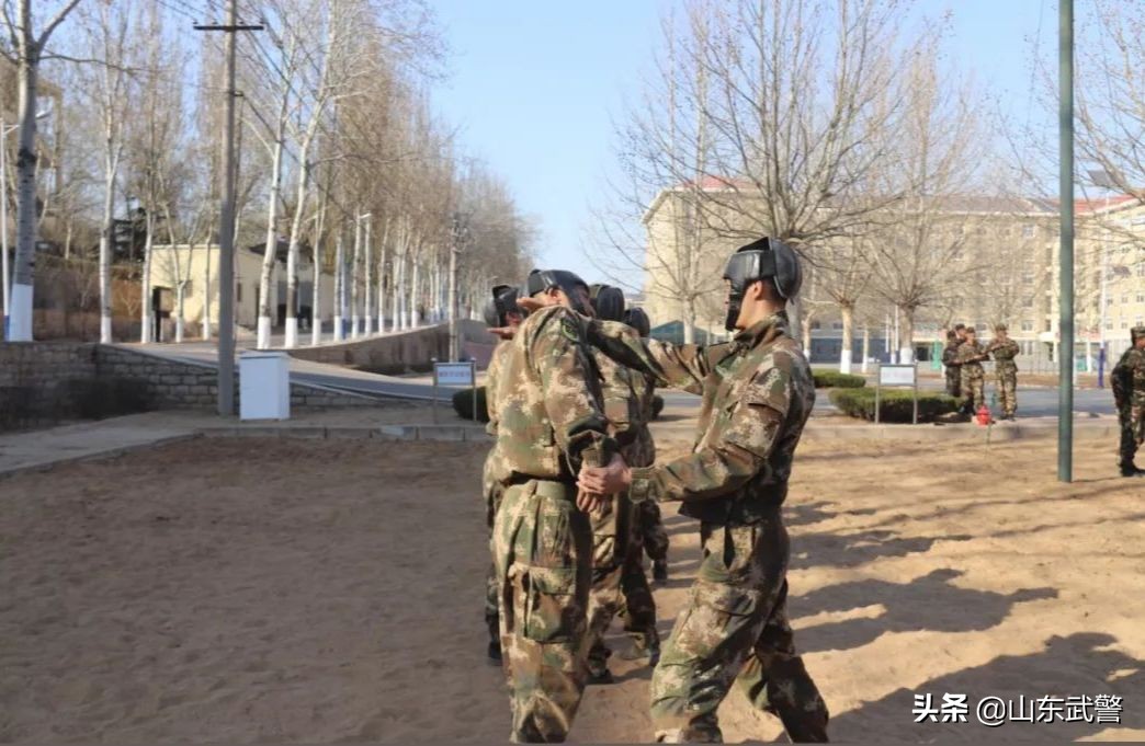 双十一来了晒晒兵哥们的购物清单,双11兵哥哥