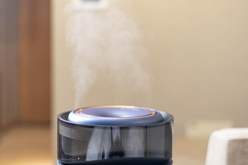 中国家电巨头生死争夺：德尔玛用技术与性价比，破壁“美苏九”