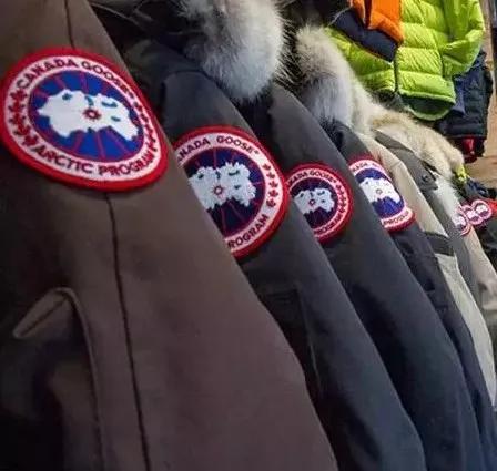 加拿大鹅排队,为什么加拿大鹅这么便宜