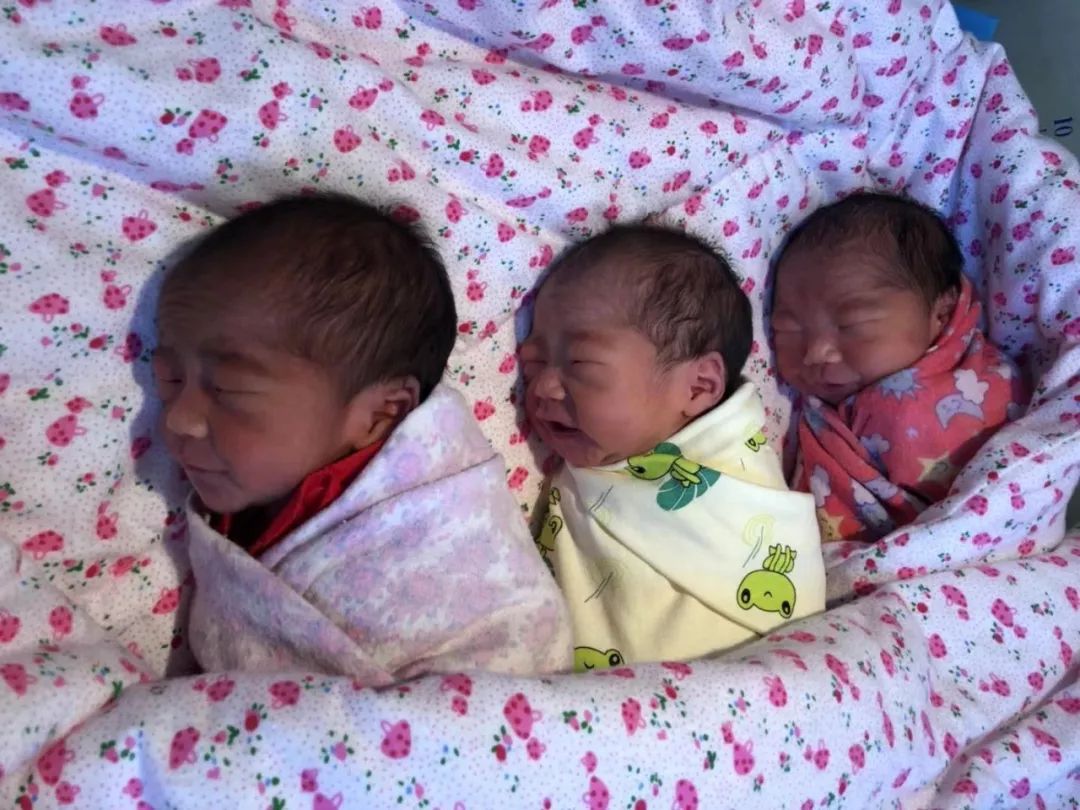 和平医院：8分钟！顺产三胞胎宝宝